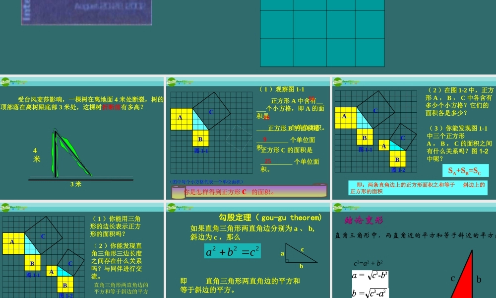 八年级数学下册 17-1(勾股定理)课件 沪科版 课件