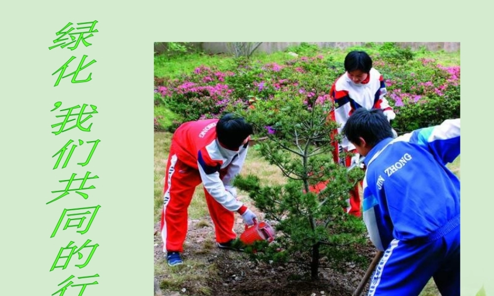七年级生物上册(绿化，我们共同的行动)课件 苏教版 课件