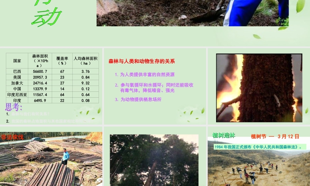 七年级生物上册(绿化，我们共同的行动)课件 苏教版 课件