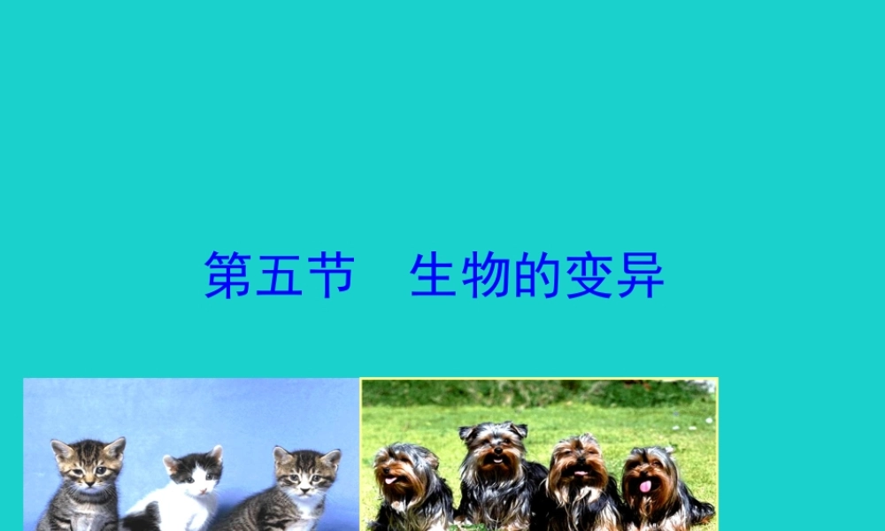 八年级生物下册 7.2.5 生物的变异课件(新版)新人教版 课件