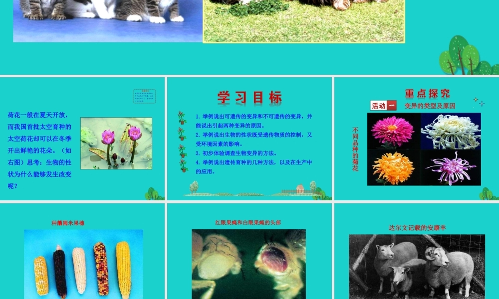 八年级生物下册 7.2.5 生物的变异课件(新版)新人教版 课件