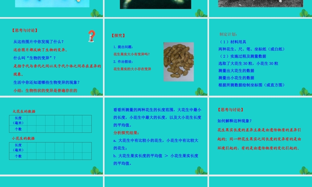 八年级生物下册 7.2.5 生物的变异课件(新版)新人教版 课件
