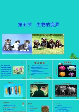 八年级生物下册 7.2.5 生物的变异课件(新版)新人教版 课件