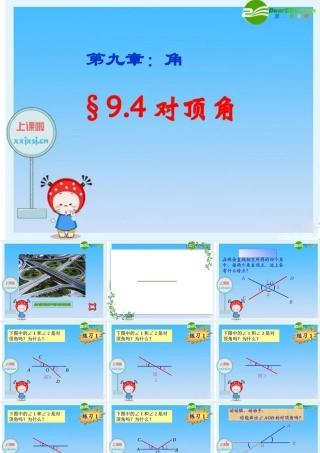 七年级数学下册：9.4对顶角课件 青岛版 课件