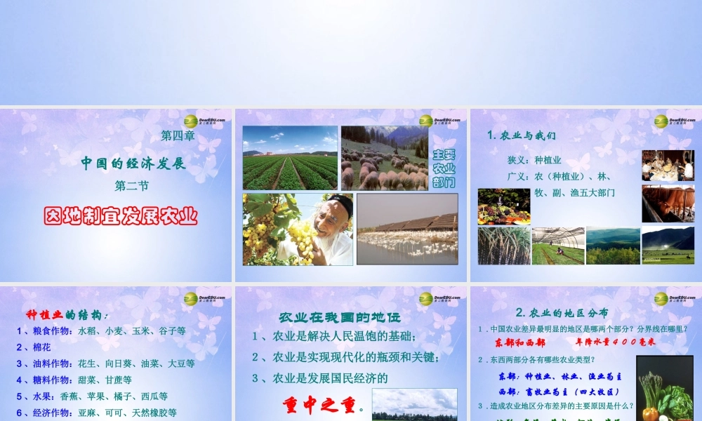 八年级地理上册 第四章 第二节 因地制宜发展农业课件 新人教版 课件