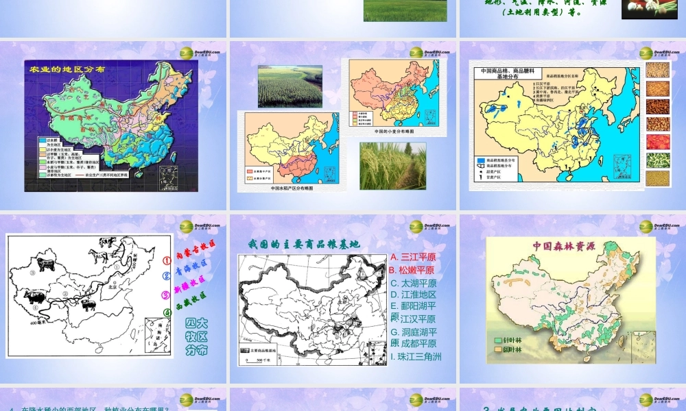 八年级地理上册 第四章 第二节 因地制宜发展农业课件 新人教版 课件