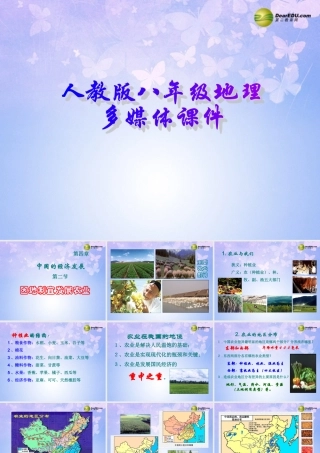 八年级地理上册 第四章 第二节 因地制宜发展农业课件 新人教版 课件