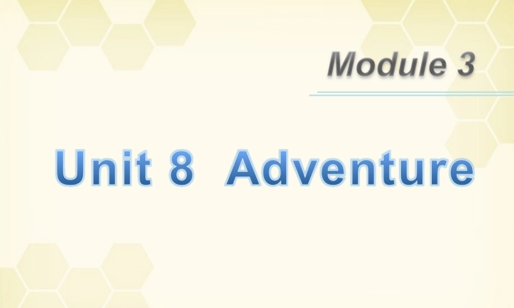 广东省高三英语第一轮总复习 Module3 Unit8 Adventure(1)课件 北师大版 新课标 课件