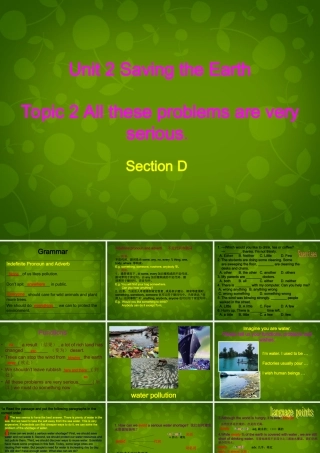 九年级英语上册 Unit 2 Topic 2 All these problems are very serious Section D课件 (新版)仁爱版 课件