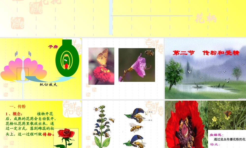 八年级生物上第二节 传粉和受精课件济南版 课件