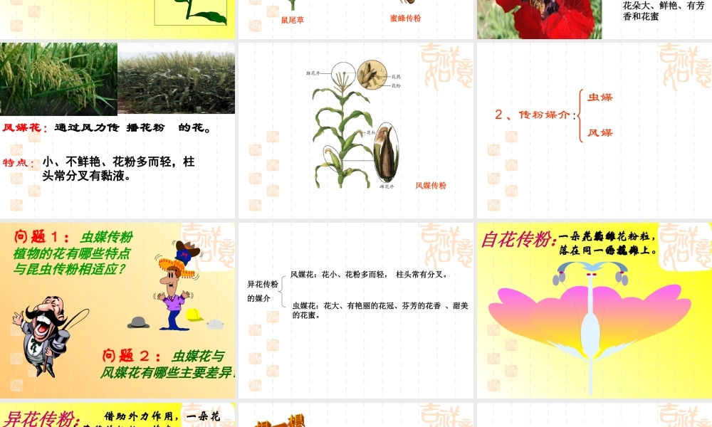 八年级生物上第二节 传粉和受精课件济南版 课件