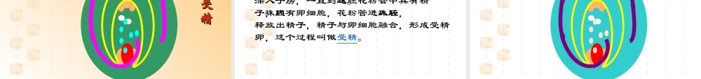 八年级生物上第二节 传粉和受精课件济南版 课件