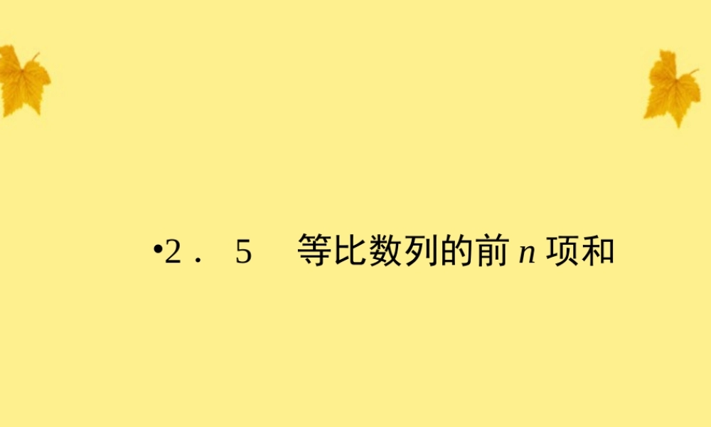 数学 2-5等比数列的前n项和精品课件同步导学 新人教A版必修5 课件