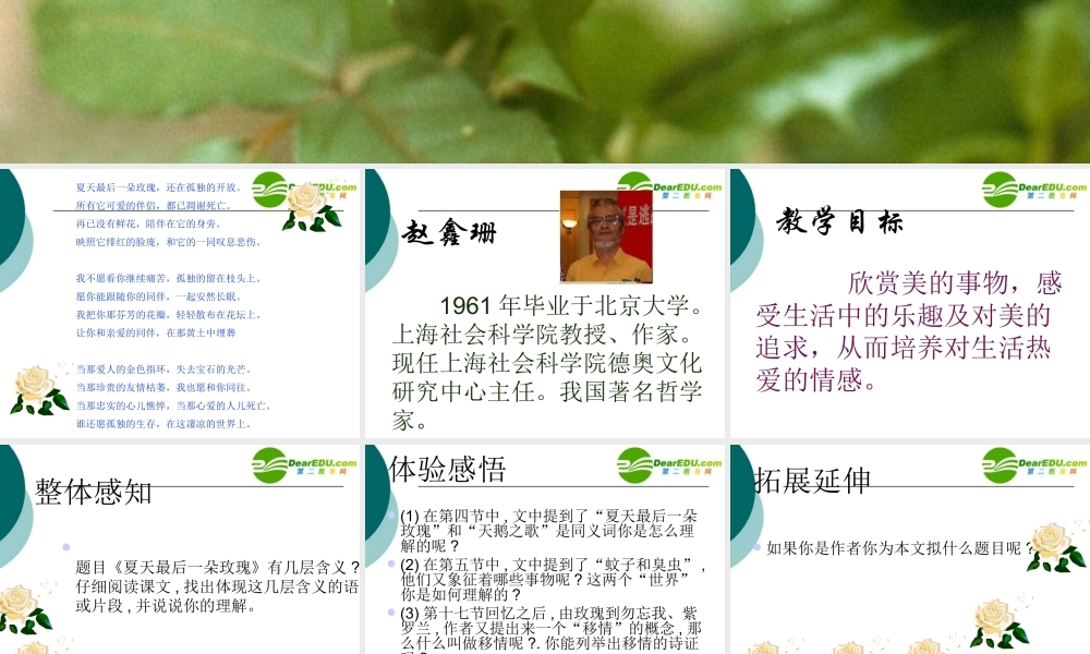 七年级语文上册第二单元8(夏天最后一朵玫瑰)课件上海五四制版 课件