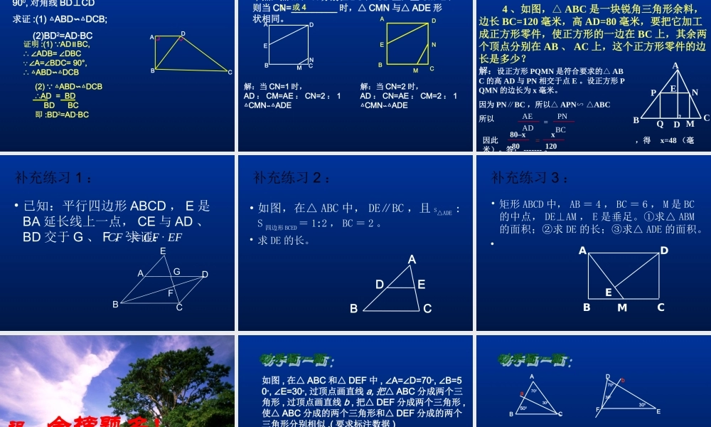 九年级数学中考冲刺---相似三角形复习课件北师大版 课件