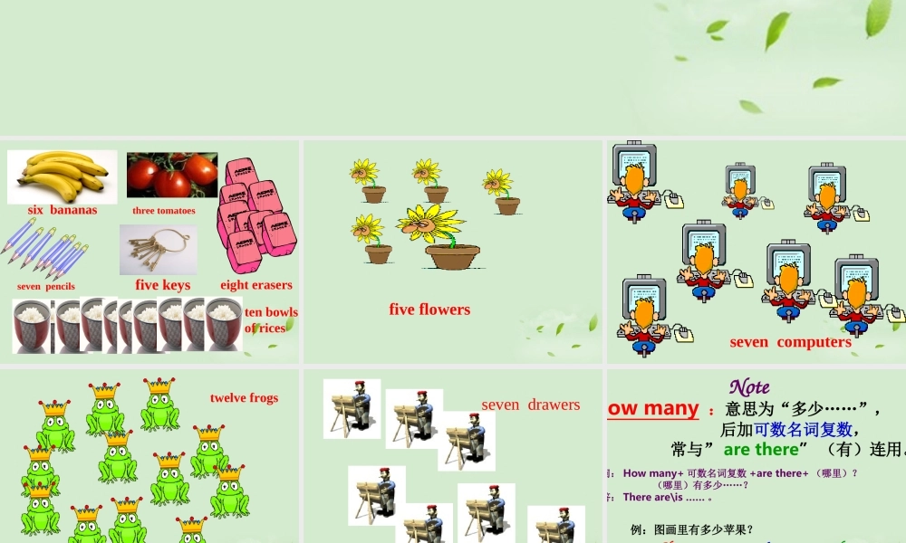 七年级英语上册 预备篇Module 2 Unit 3 How many are there课件 外研版 课件
