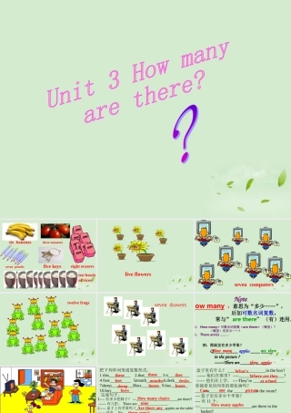 七年级英语上册 预备篇Module 2 Unit 3 How many are there课件 外研版 课件