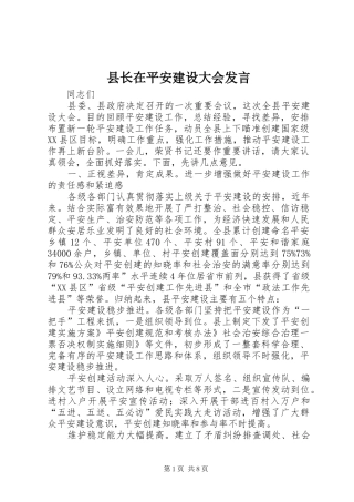 县长在平安建设大会发言