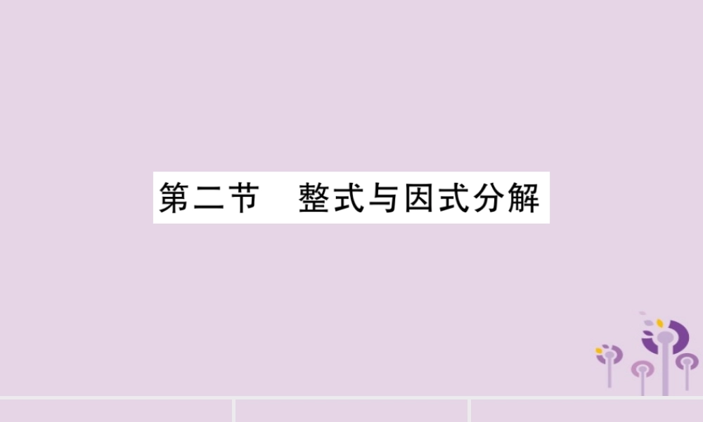 中考数学复习 第一轮 考点系统复习 第1章 数与式 第2节 整式与因式分解导学课件