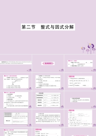 中考数学复习 第一轮 考点系统复习 第1章 数与式 第2节 整式与因式分解导学课件