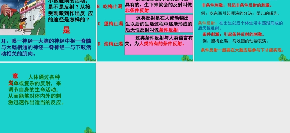 七年级生物下册 第三单元 第五章 第三节 神经调节的基本方式课件 (新版)济南版 课件