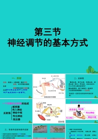 七年级生物下册 第三单元 第五章 第三节 神经调节的基本方式课件 (新版)济南版 课件