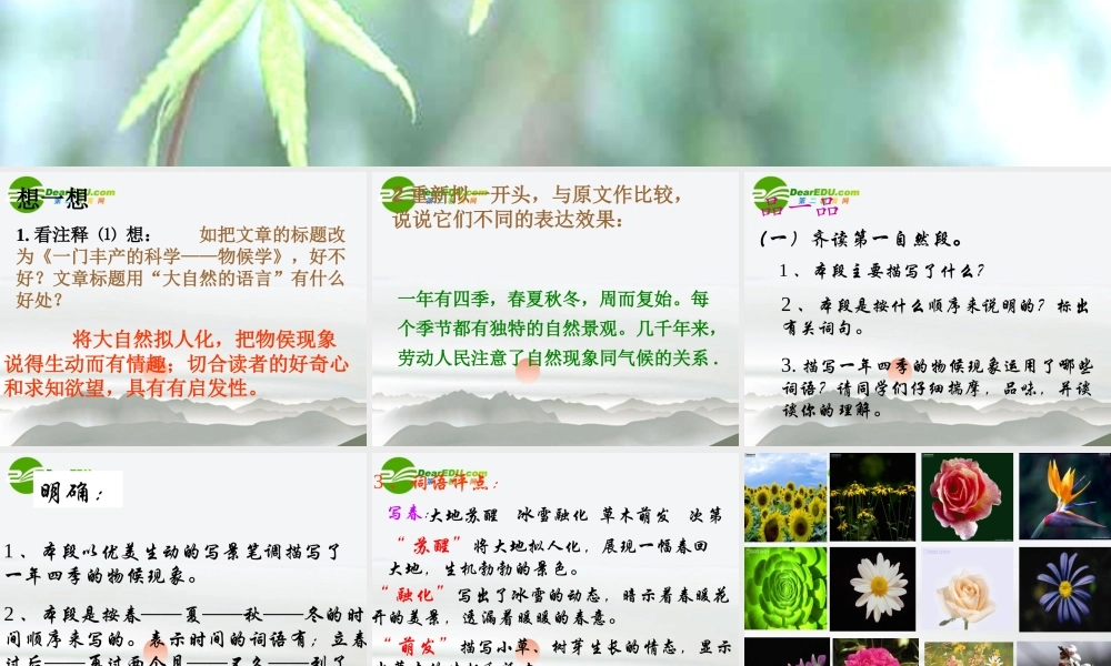 八年级语文上册 第四单元之(大自然的语言)课件 新人教版 课件