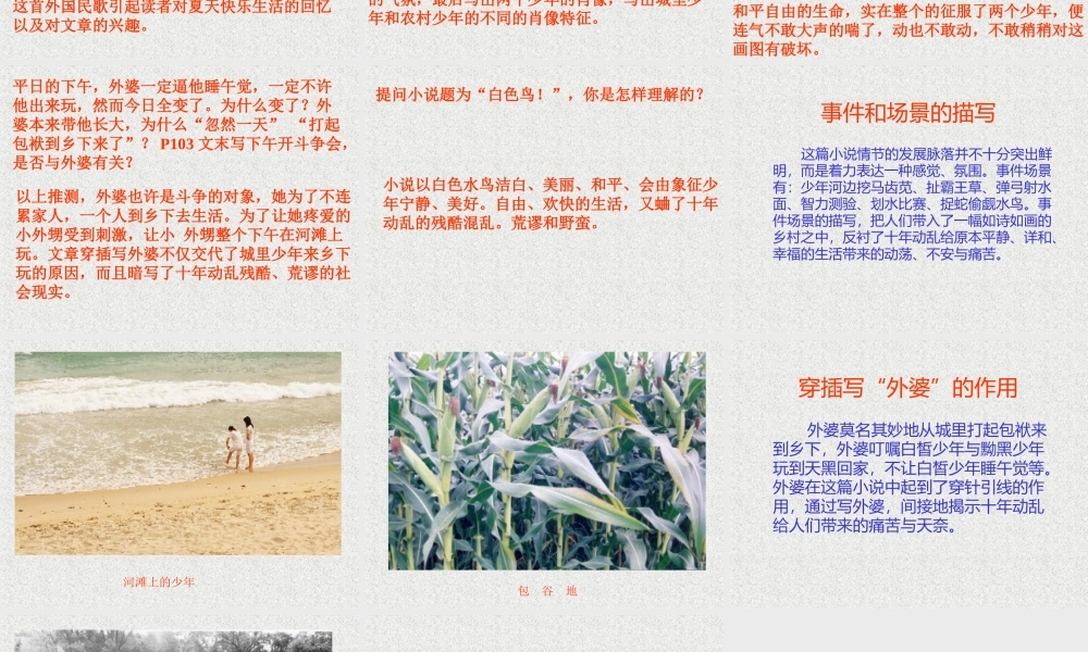 七年级语文上：第11课(白色鸟)课件(长春版) 课件