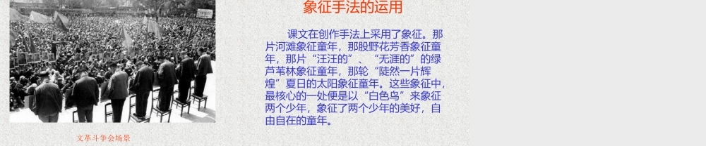 七年级语文上：第11课(白色鸟)课件(长春版) 课件