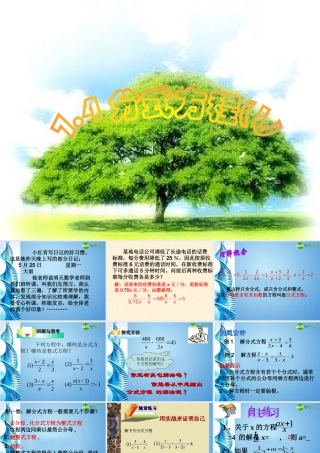 七年级数学下册 分式方程1课件 浙教版 课件