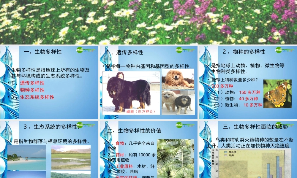 八年级生物下册 保护生物多样性复习课件 苏科版 课件