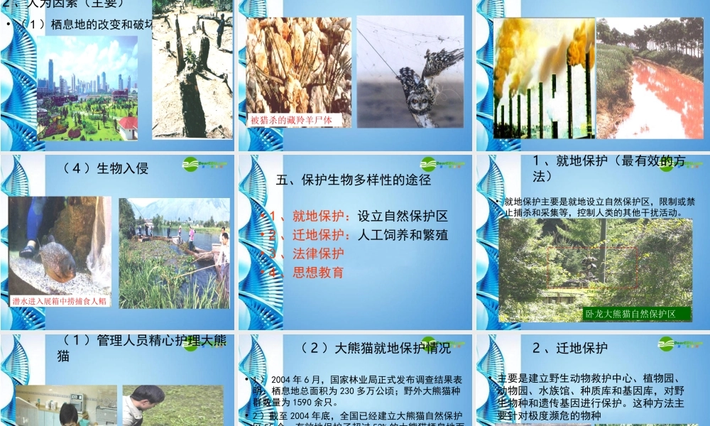 八年级生物下册 保护生物多样性复习课件 苏科版 课件
