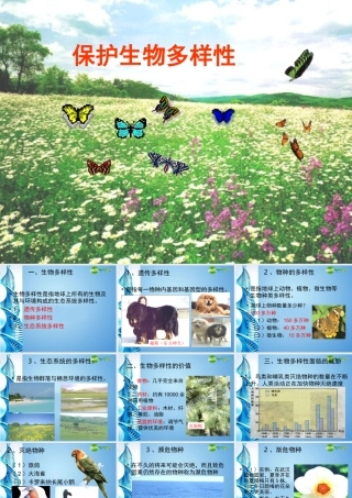 八年级生物下册 保护生物多样性复习课件 苏科版 课件