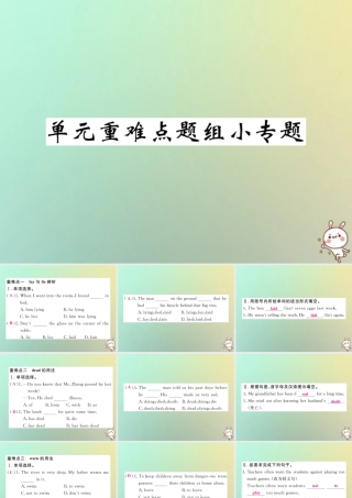 九年级英语全册 Unit 2 I think that mooncakes are delicious单元重难点题组小专题课件 (新版)人教新目标版 课件