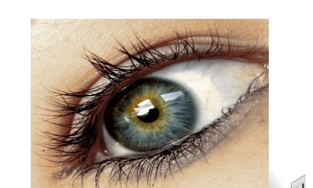 八年级物理上册 4.6神奇的眼睛课件 教科版 课件