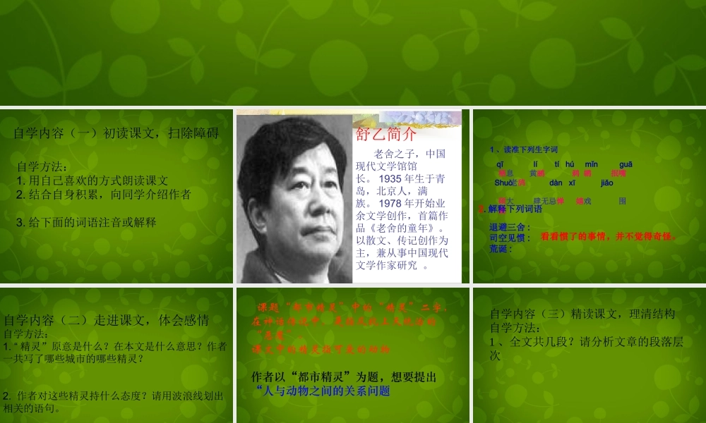 八年级语文上册 22 都市精灵课件1 苏教版 课件