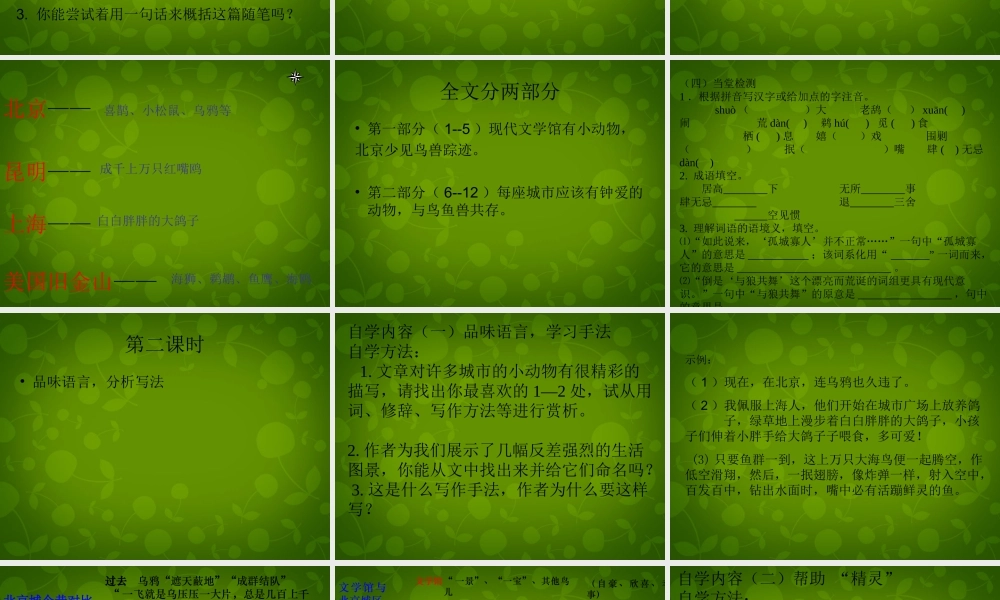 八年级语文上册 22 都市精灵课件1 苏教版 课件