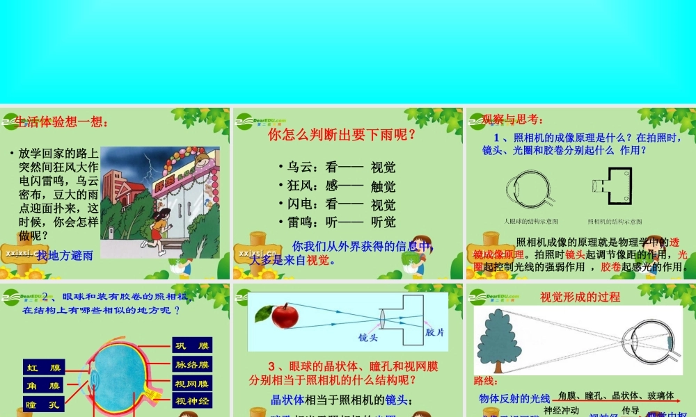 七年级生物下册 第四单元第六章第一节人体对外界环境的感知课件 人教版 课件