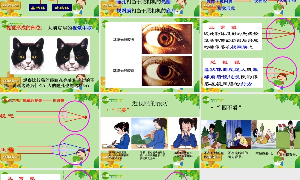 七年级生物下册 第四单元第六章第一节人体对外界环境的感知课件 人教版 课件