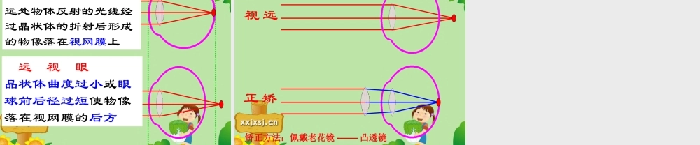 七年级生物下册 第四单元第六章第一节人体对外界环境的感知课件 人教版 课件