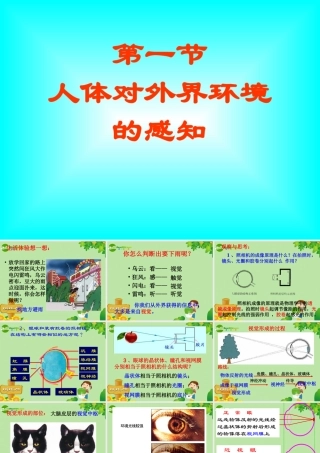 七年级生物下册 第四单元第六章第一节人体对外界环境的感知课件 人教版 课件