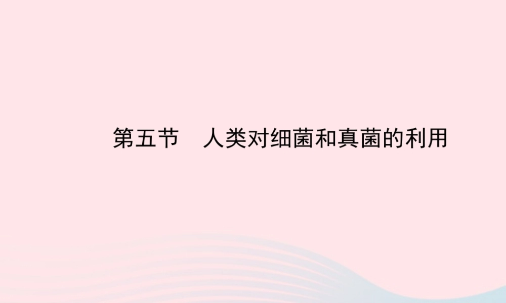 八年级生物上册 第五单元 第四章 第五节 人类对细菌和真菌的利用课件 (新版)新人教版 课件