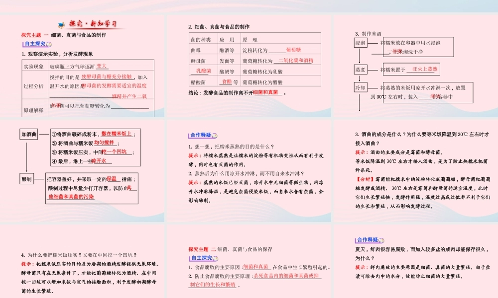 八年级生物上册 第五单元 第四章 第五节 人类对细菌和真菌的利用课件 (新版)新人教版 课件