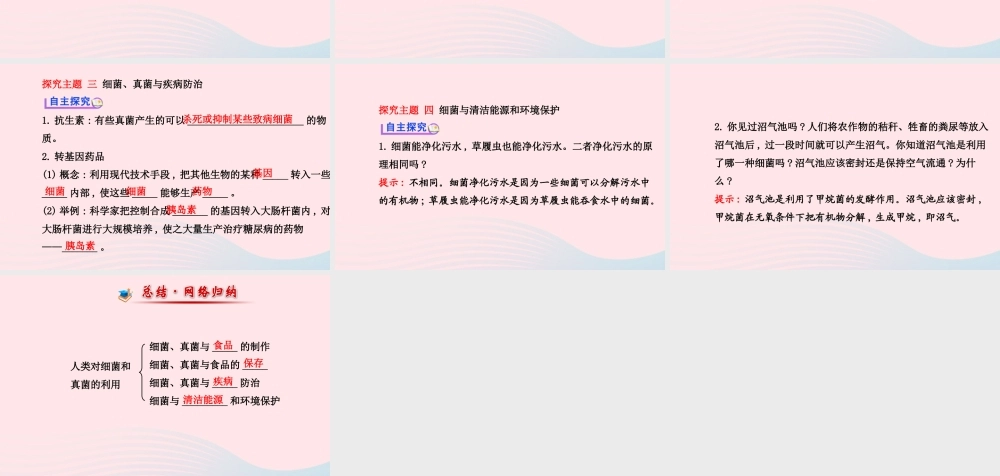 八年级生物上册 第五单元 第四章 第五节 人类对细菌和真菌的利用课件 (新版)新人教版 课件