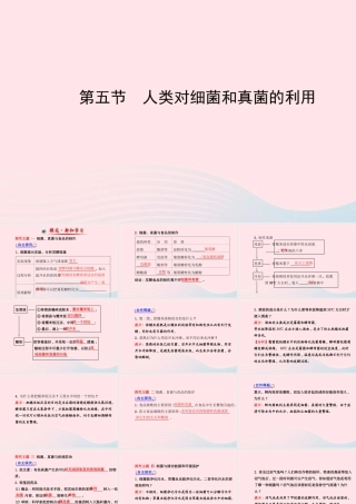 八年级生物上册 第五单元 第四章 第五节 人类对细菌和真菌的利用课件 (新版)新人教版 课件