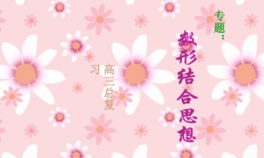 人教版数学数形结合专题复习指导 课件