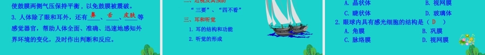 七年级生物下册 4.6.1 人体对外界环境的感知课件 七年级生物下册 4.6.1 人体对外界环境的感知课件+素材(新版)新人教版-2