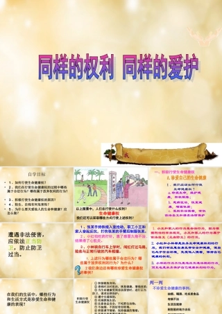 八年级政治下册 第三课 第2框 同样的权利同样的保护课件 新人教版 课件