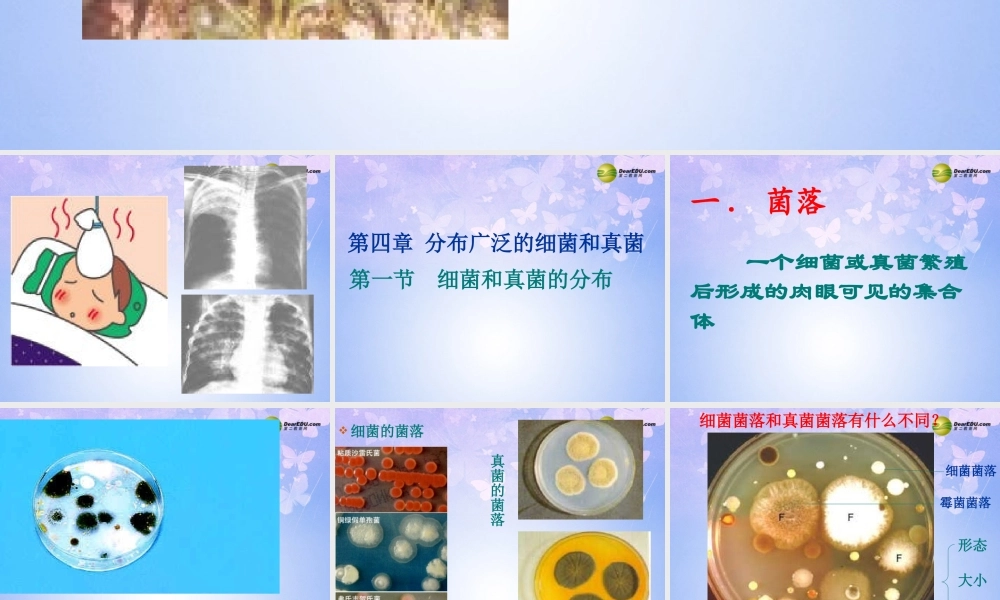 八年级生物上册 5.4.1 细菌真菌的分布课件 新人教版 课件