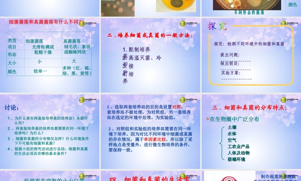 八年级生物上册 5.4.1 细菌真菌的分布课件 新人教版 课件